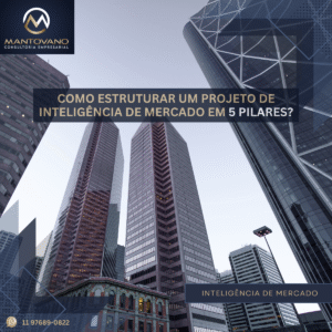 5 Pilares para Iniciar um Projeto de Inteligência de Mercado _ Canal de Vendas B2B